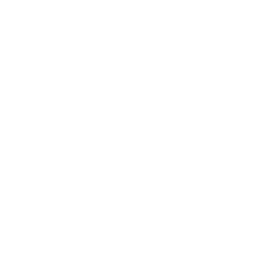 Slide 12