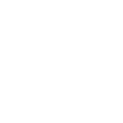 Slide 10