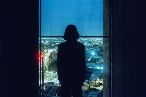 Window Silhouette