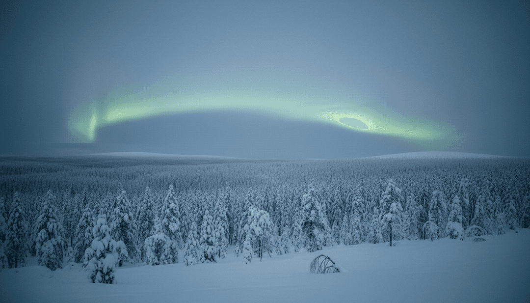 Scene visive che rappresentano stagioni ed emozioni per il video musicale