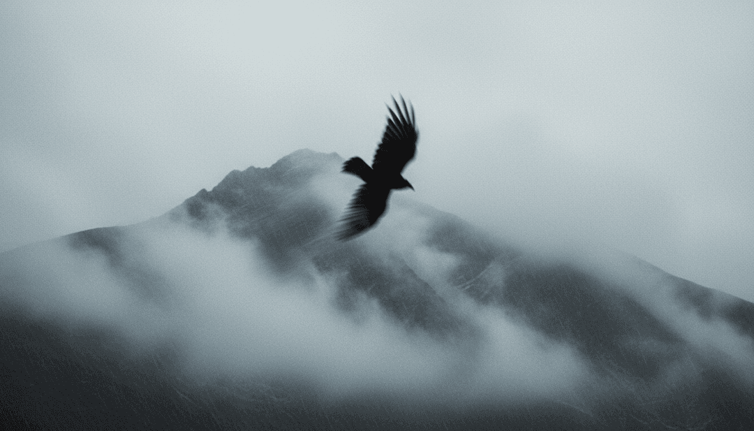 노래 주제를 표현하는 폭포와 메아리치는 산의 생생한 장면들