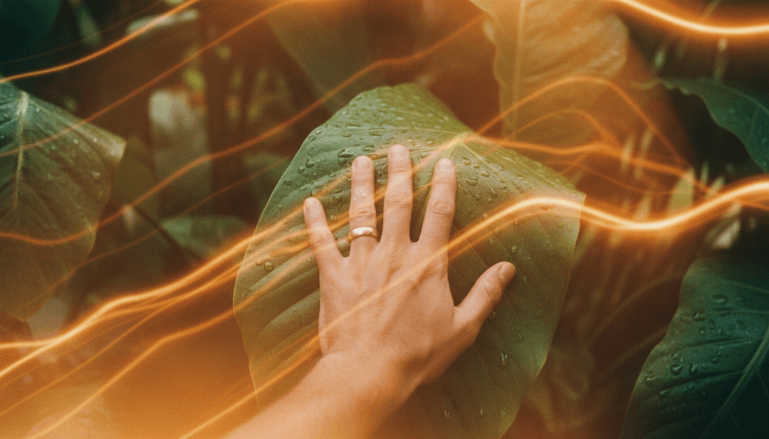 freebeat.ai 使用者介面，展示 'have to.' 音樂影片自訂選項