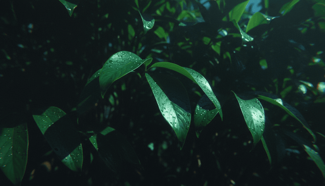 Fotograma final editado del video musical que muestra una mezcla de cultura hip hop y arte generado por IA