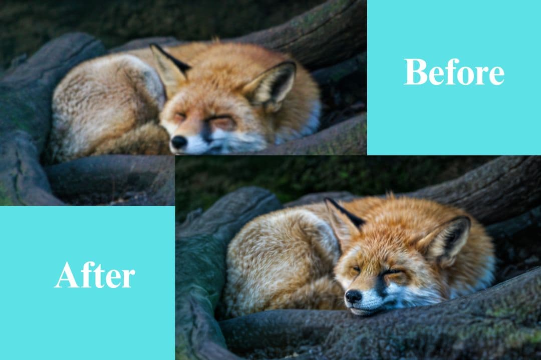 プロンプトガイド画像生成